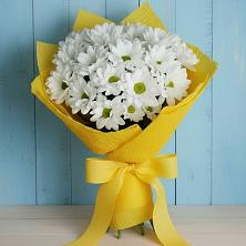 Букет цветов из:  Хризантемы в Усть-Лабинске