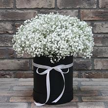 Цветочная композиция из Гипсофила в шляпной коробке #REPLACE_PRED# Усть-Лабинске